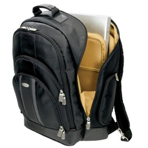Samsonite Laptop Pillow