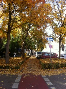 Herbst